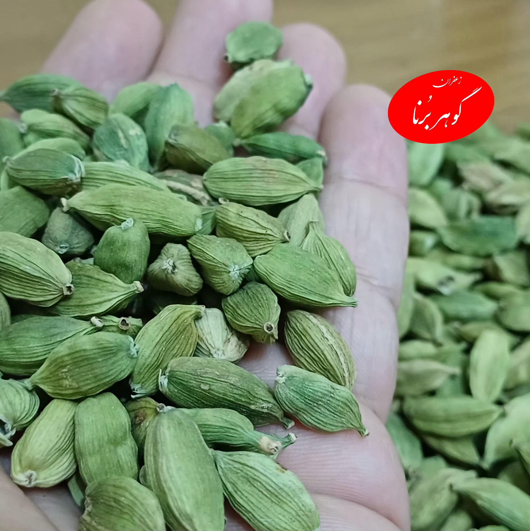 هل سبز اکبر بنفش ۲۰ گرمی - تصویر 2